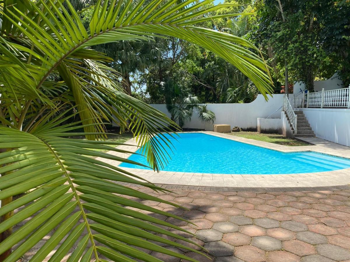 The Whitehouse Bed And Breakfast Durban Exterior photo
